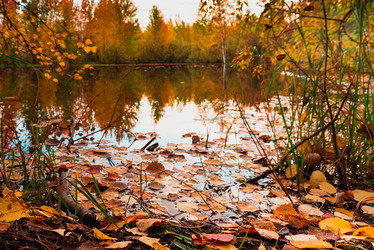 Similar image 21174643