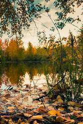 Similar image 21174645