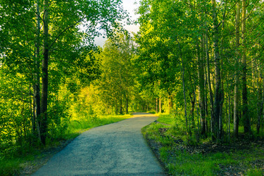 Similar image 21174647