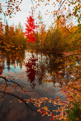 Similar image 21174648