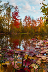 Similar image 21174650