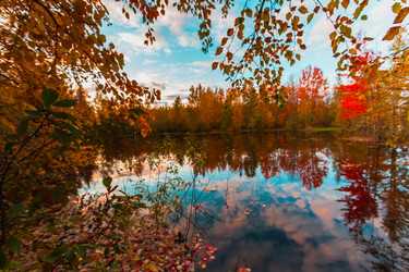 Similar image 21174652