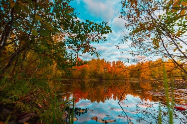 Similar image 21174654