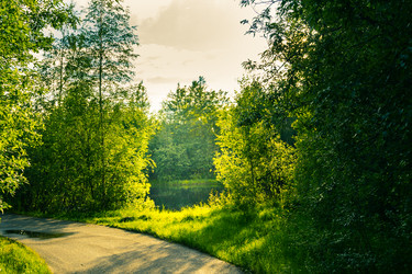 Similar image 21174655