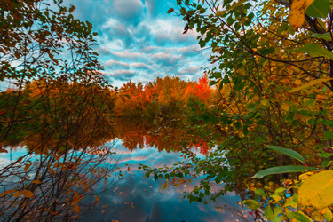 Similar image 21174656