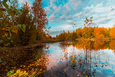 Similar image 21174657