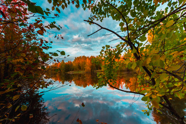 Similar image 21174658