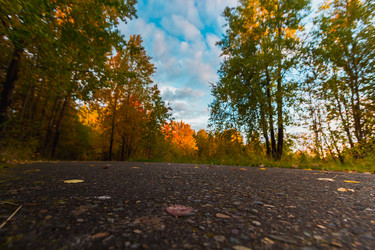 Similar image 21174659