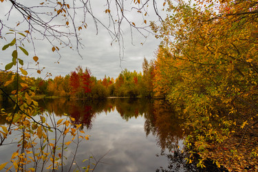 Similar image 21174664