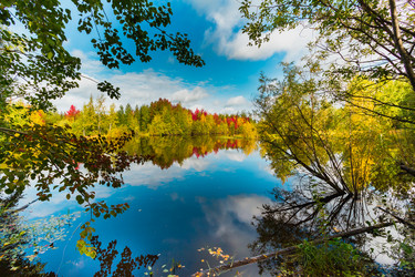 Similar image 21174666