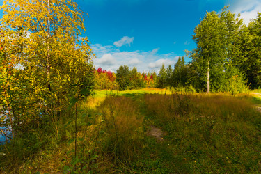 Similar image 21174667