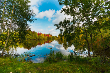 Similar image 21174668