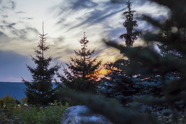 Similar image 21175019