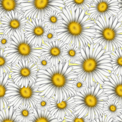 Similar image 21176007