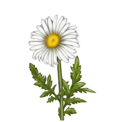 Similar image 21176008