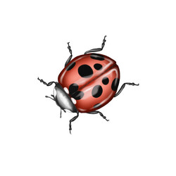 Similar image 21176012