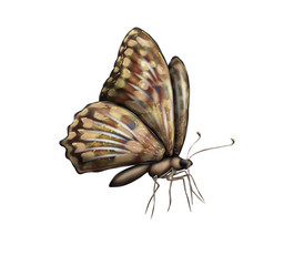 Similar image 21176016