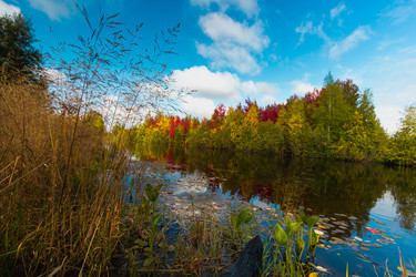 Similar image 21171946