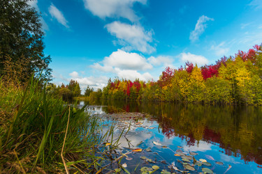 Similar image 21171947