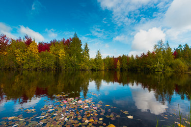 Similar image 21171948