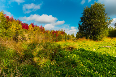 Similar image 21171949