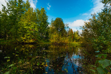 Similar image 21171954