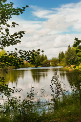 Similar image 21171956