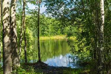 Similar image 21171959