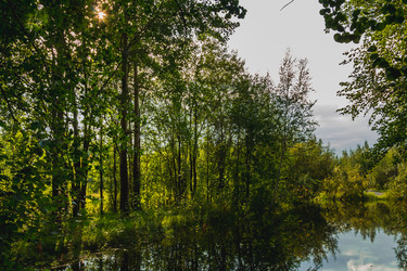 Similar image 21171966