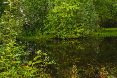 Similar image 21171967