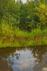 Similar image 21171968