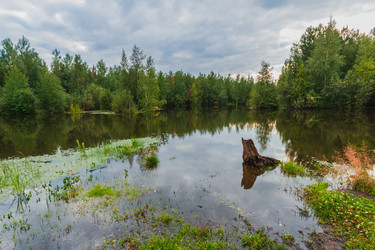 Similar image 21171970