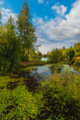 Similar image 21172153