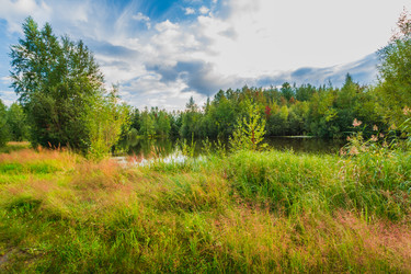 Similar image 21172154