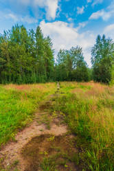 Similar image 21172388