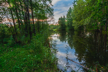 Similar image 21172156