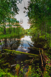 Similar image 21172158