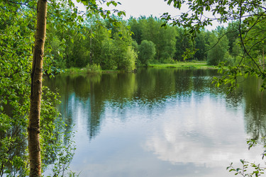 Similar image 21172160