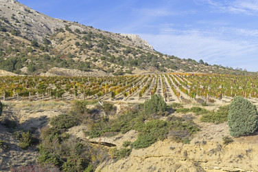 Similar image 21170051