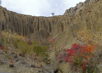 Similar image 21170060