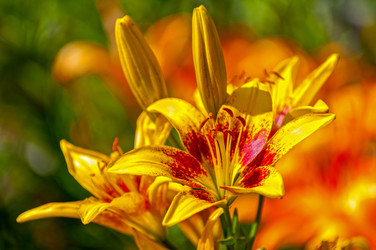 Similar image 21170063