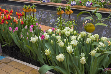 Similar image 21170064