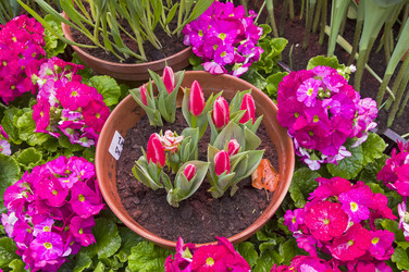 Similar image 21170065