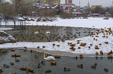 Similar image 21170068