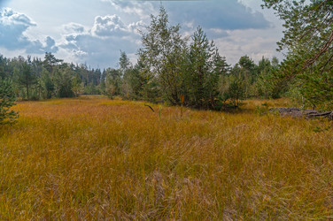 Similar image 21170070