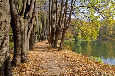 Similar image 21170071