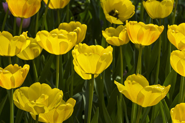 Similar image 21170072