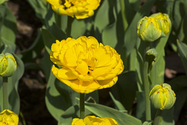 Similar image 21170074