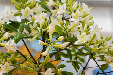 Similar image 21170075