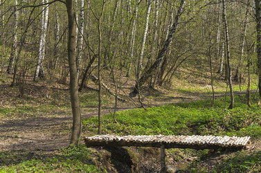 Similar image 21170076